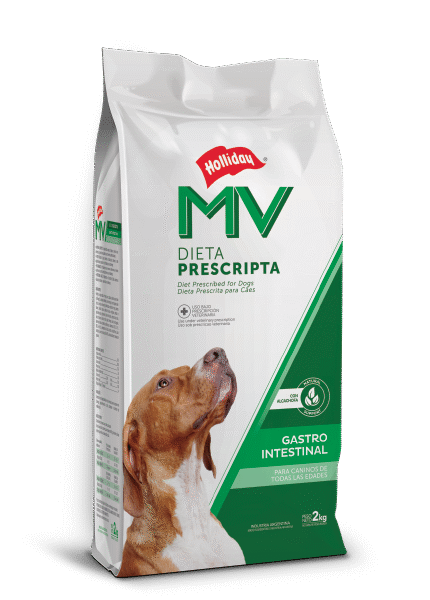 Gastrointestinal Perros