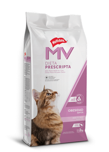Obesidad Gatos