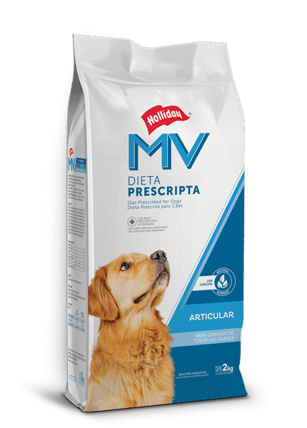 Articular Perros